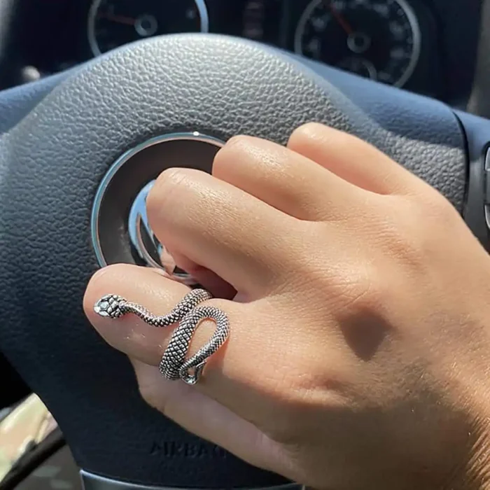 Costozon Silver Plated Snake Ring – Adjustable Naag Anguthi for Kalsarp Dosh Nivaran & Rahu Ketu Remedy – Punk Gothic Cobra Jewelry for Men & Women - Image 12
